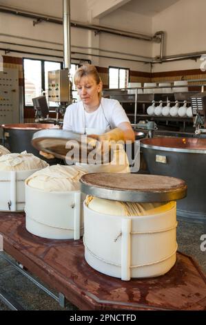 Produzione di Parmigiano Reggiano presso il caseificio Hombre, Modena, Emilia Romagna, Europa, Italia Foto Stock