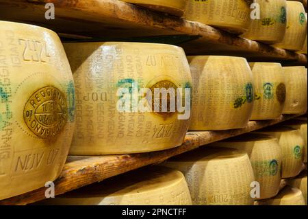 Produzione di Parmigiano Reggiano presso il caseificio Hombre, Modena, Emilia Romagna, Europa, Italia Foto Stock
