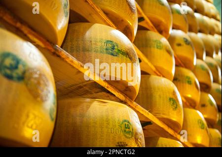 Produzione di Parmigiano Reggiano presso il caseificio Hombre, Modena, Emilia Romagna, Europa, Italia Foto Stock