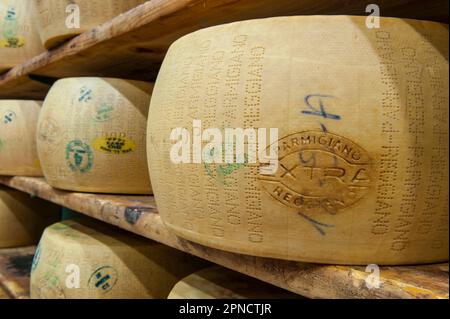 Produzione di Parmigiano Reggiano presso il caseificio Hombre, Modena, Emilia Romagna, Europa, Italia Foto Stock