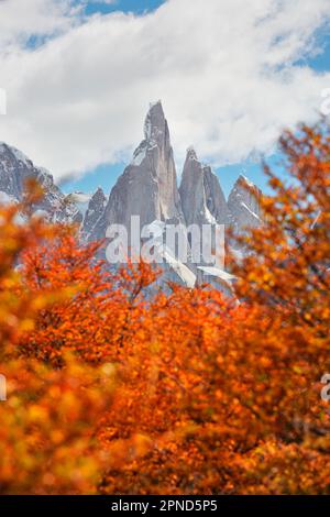 La cima del monte Cerro Torre è circondata dai colori vivaci degli alberi di Lengas in autunno, El Chalten, Santa Cruz, Patagonia Argentina. Foto Stock