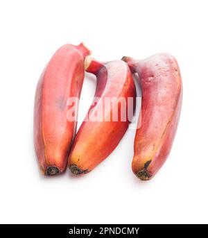 Gustose banane rosse isolate su sfondo bianco. Foto Stock