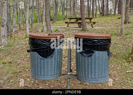 Due bidoni di immondizia di metallo con sacchetti di plastica all'interno attaccato su un palo con i coperchi arrugginiti incatenati a e tavoli da picnic sullo sfondo circondato da tr Foto Stock