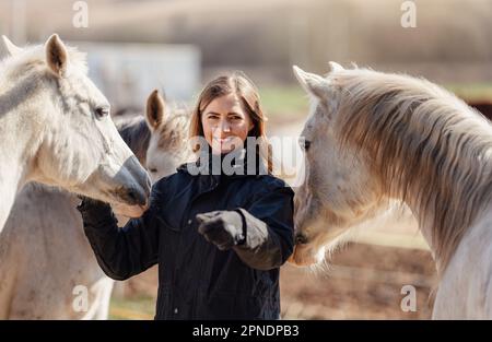 Giovane donna in giacca da equitazione nera in piedi vicino a un gruppo di cavalli arabi bianchi sorridenti felici, uno su ogni lato, dettaglio primo piano Foto Stock