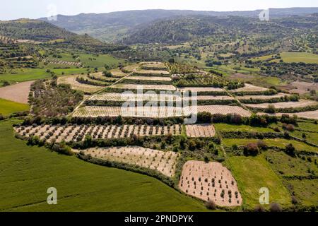 Campi di viti terrazzati nella valle di Ezousa, regione di Paphos, Cipro Foto Stock