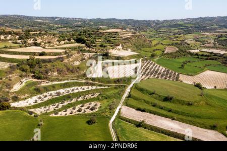 Campi di viti terrazzati nella valle di Ezousa, regione di Paphos, Cipro Foto Stock