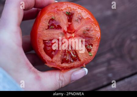 I semi di pomodoro germogliano all'interno di un pomodoro maturo. Foto Stock