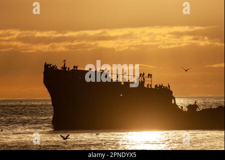 Silhoutte della SS Palo Alto vicino al tramonto, un vecchio naufragio della seconda guerra mondiale al largo della costa di Aptos, California Foto Stock