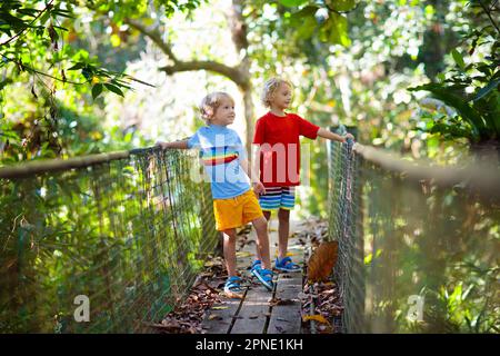 Escursioni in montagna per bambini. Ragazzo a piedi sul ponte sospeso sul fiume nella giungla. Viaggi e trekking con bambini piccoli. esplorazione Foto Stock