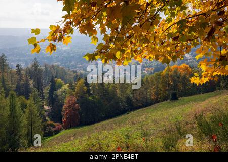 Parco della Burcina a Biella in Piemonte Foto Stock