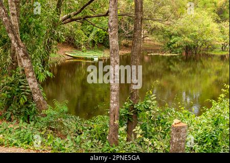 Il lago al centro genocidale di Cheung Ek, Phnom Penh, Cambogia Foto Stock