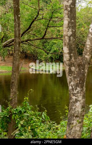 Il lago al centro genocidale di Cheung Ek, Phnom Penh, Cambogia Foto Stock