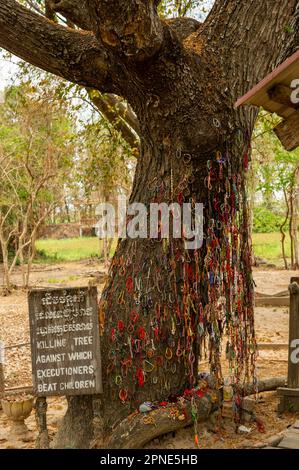 L'albero di uccisione al centro genocida di Cheung Ek, Phnom Penh, Cambogia Foto Stock