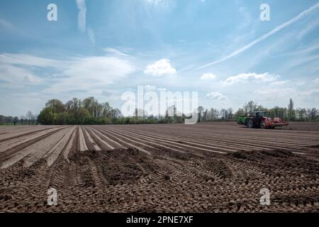 Fila di tumulo di suolo, preparando suolo per campo agricolo per crescere pianta. Foto Stock