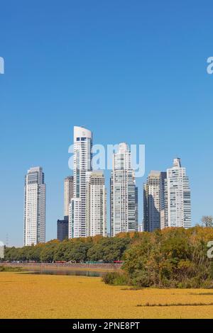 Vista dei grattacieli di Puerto Madero dalla riserva ecologica Costanera Sur, Puerto Madero, Buenos Aires, Argentina. Foto Stock