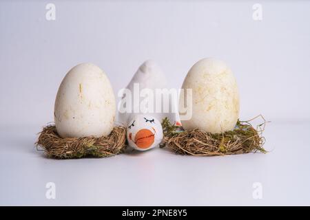 Uova d'oca su un nido con un'oca ripiena Foto Stock