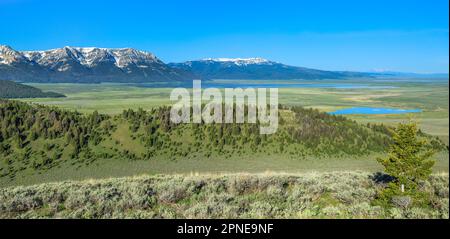 panorama dei laghi di roccia rossa national wildlife rifugio nella valle centenario vicino lago di vista, montana Foto Stock