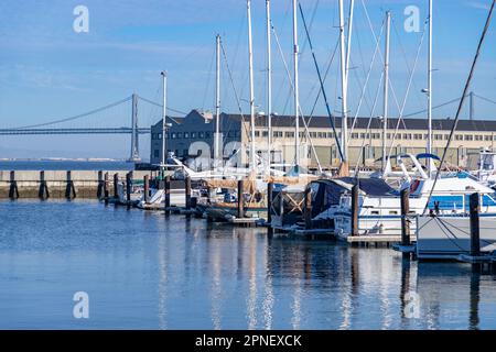 Una foto della marina del molo 39. Foto Stock