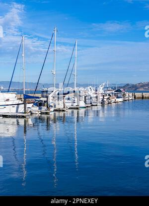 Una foto della marina del molo 39. Foto Stock