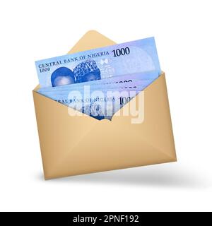 naira, nota, holding, valuta, africano, risparmio, contanti, riprogettazione, nigeria, affari, isolato, finanza, successo, gioco, investimento, banca, economia, banca Foto Stock