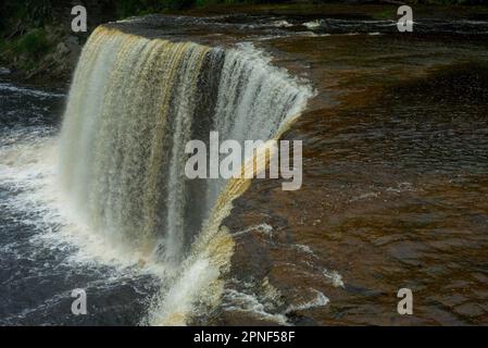 All'orlo delle cascate superiori al Tahquamenon Falls state Park, nell'Upper Peninsula del Michigan Foto Stock