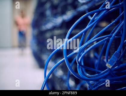 Primo piano dei cavi del computer nella sala server Foto Stock