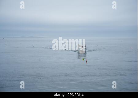 Barca da pesca di ritorno al porto dalla nebbia nel Maine Foto Stock