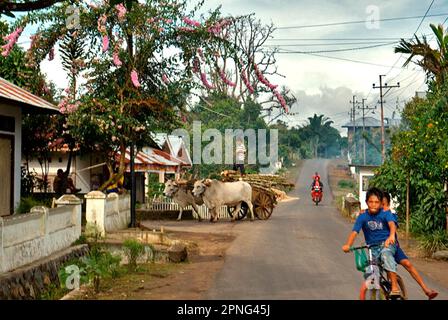 Vari trasporti sono fotografati su una strada rurale a Remboken, Minahasa, Nord Sulawesi, Indonesia. Foto Stock