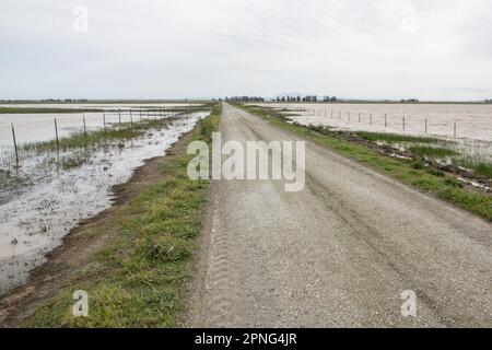 Una strada con campi allagati su entrambi i lati, temporaneamente trasformato in piscine vernali nella valle centrale della California. Foto Stock