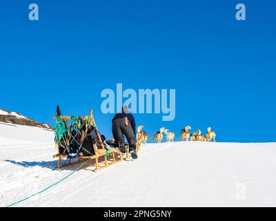 Inuit con la sua squadra di cani da slitta, Tasiilaq, Ammassalik Island, Kommuneqarfik Sermersoq, Groenlandia orientale, Groenlandia Foto Stock