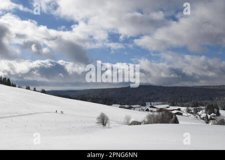 Paesaggio invernale, Ibach, Hotzenwald, Germania Foto Stock