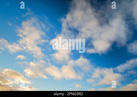 Nuvole di primavera gialle-bianche nel cielo blu della sera Foto Stock