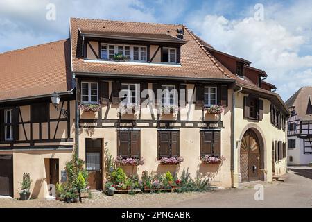 Bella strada nel comune di Eguisheim Francia Foto Stock