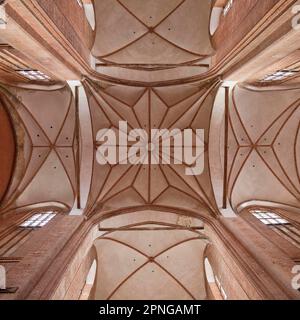 Vista della volta a stella sopra l'incrocio nella Georgenkirche, edificio sacro gotico, città anseatica di Wismar, Meclemburgo-Pomerania occidentale Foto Stock
