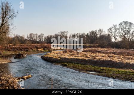 Il fiume Odra che si nuoce nel CHKO Poodri, nella repubblica Ceca, durante la prima giornata di primavera con il cielo limpido Foto Stock