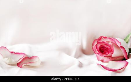 Rosa fiore sfondo. Rosa rosa su seta morbida, spazio copia. Foto Stock