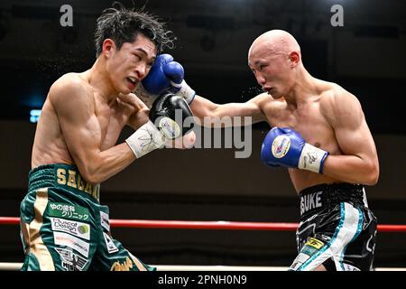 Tokyo, Giappone. 18th Apr, 2023. Keisuke Matsumoto (guanti blu) e Ryo Sagawa (guanti neri) competono al loro libero titolo giapponese di peso piuma alla Korakuen Hall di Tokyo, Giappone, 18 aprile 2023. Credit: Hiroaki Finito Yamaguchi/AFLO/Alamy Live News Foto Stock