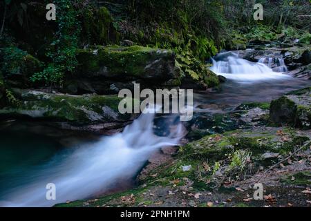 Una scena idilliaca di un fiume che scorre sulle rocce e che si snoda attraverso un tranquillo paesaggio boschivo Foto Stock