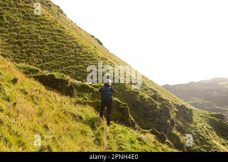 Vestmannaeyjar, Islanda- Agosto 2021: Una ragazza turistica che fa trekking sul monte Heimaklettur a Heimaey Foto Stock