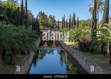 Vista generale del parco di SA Riera, nella città di Palma de Mallorca all'alba, Spagna Foto Stock