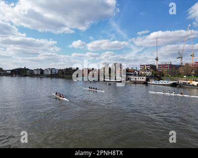 Tre barche a remi sul Tamigi a Puntney London UK vista aerea drone Foto Stock