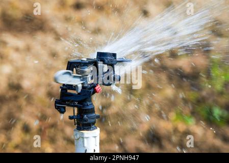 Impianto di irrigazione sprinkler automatico e testine sprinkler in campo agricolo all'aperto Foto Stock