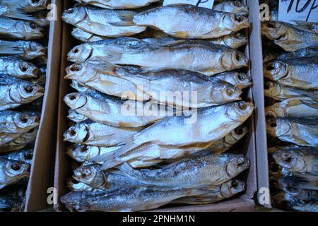 Un sacco di scarafaggio secco si trova in scatole di cartone Foto Stock