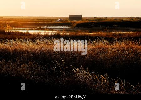 Deposito caudo nelle saline di Guérande, Bretagna, Francia Übersetzungsergebnisse Übersetzung Deposito caudo nelle saline di Guérande, Britta Foto Stock