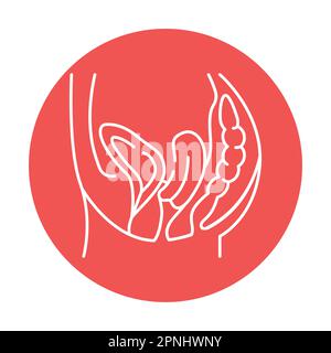 Icona della linea di colore del prolasso dell'organo. Malattie umane. Pittogramma per pagina web, app mobile, promo. Illustrazione Vettoriale