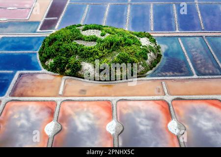 Saline nei Giardini del sale di Guérande, Bretagna, Francia Foto Stock