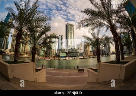 Vista grandangolare di edifici di appartamenti alti e hotel sull'acqua a Dubai Marina negli Emirati Arabi Uniti Foto Stock