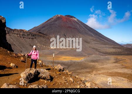 Una veduta del Monte Ngauruhoe sulla passeggiata di attraversamento Alpino di Tongariro, Parco Nazionale di Tongariro, Isola del Nord, Nuova Zelanda. Foto Stock