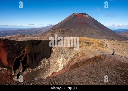 Una veduta del Monte Ngauruhoe e del Cratere Rosso sulla passeggiata di traversata Alpina di Tongariro, il Parco Nazionale di Tongariro, l'Isola del Nord, la Nuova Zelanda. Foto Stock