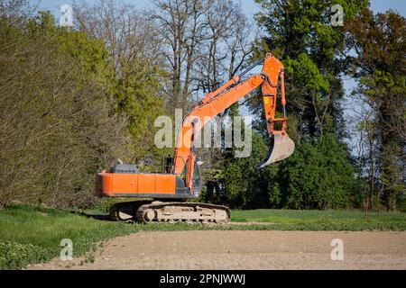 escavatore al lavoro nella foresta Foto Stock